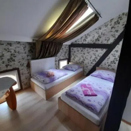 Green Hostel-2