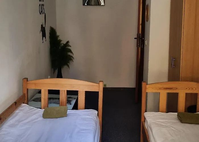 Green Cat Rooms Krakow